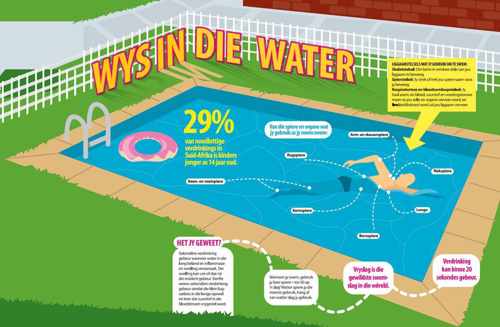 swembad water veiligheid - 1 Swembad Veiligheidstoerusting Evaluasies en Aanbevelings